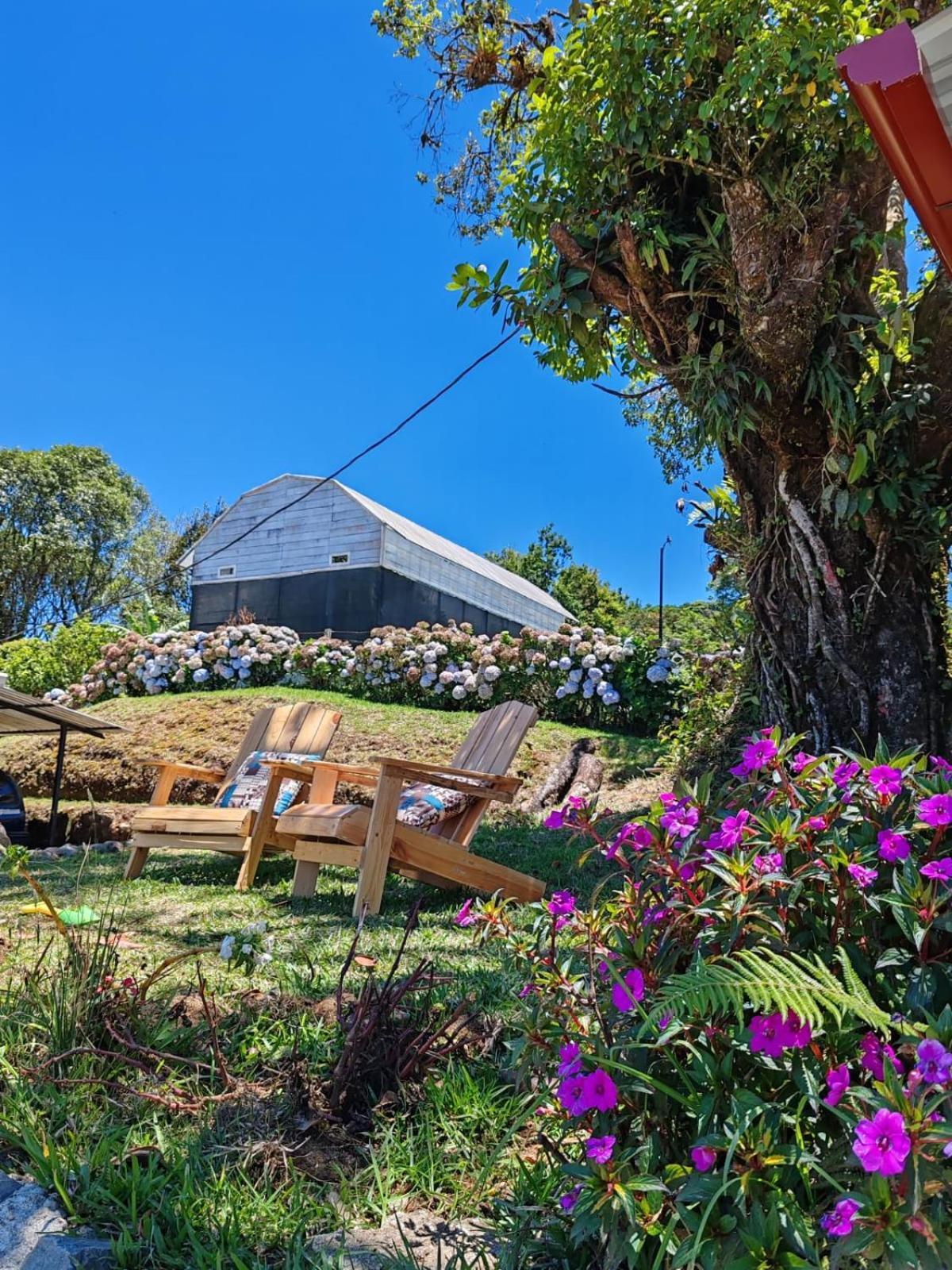 Chalets Vistas Del Poas エレディア エクステリア 写真