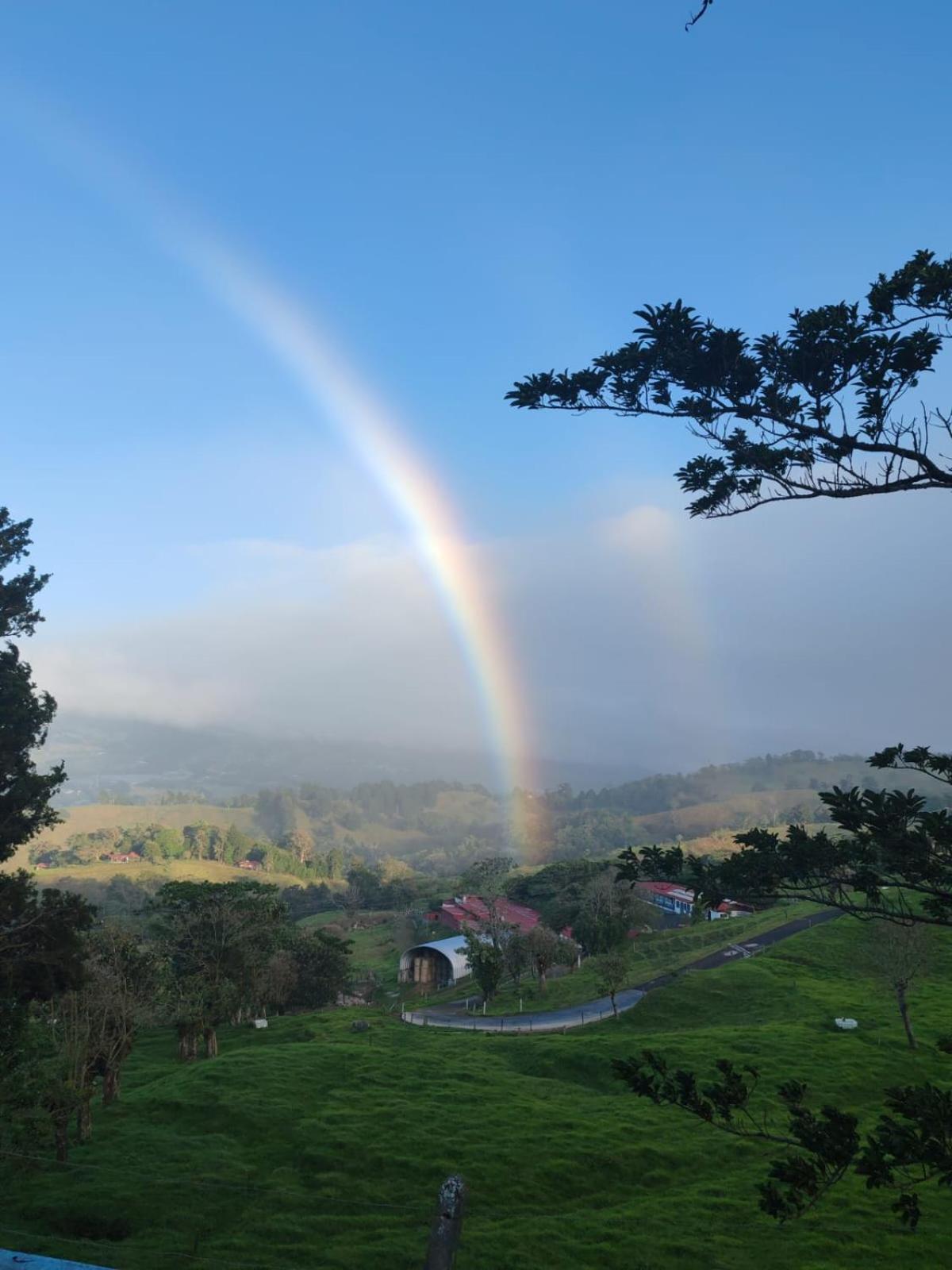 Chalets Vistas Del Poas エレディア エクステリア 写真